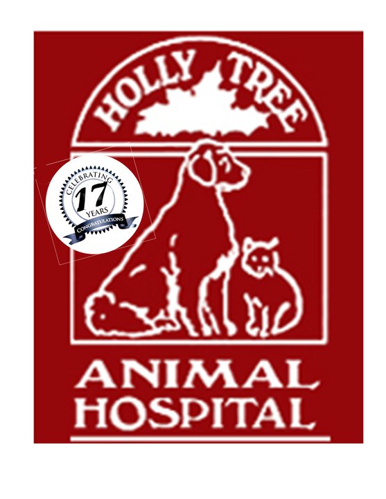 6 Top Rated Dog Boarding In Greenville, South Carolina Best Reviewed