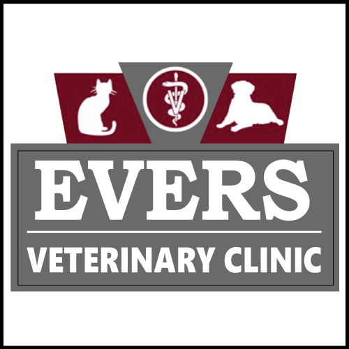 6 Top Rated Veterinarians In Chico, California Best Reviewed Experts