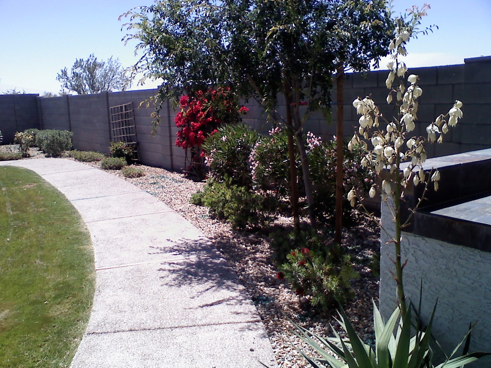 6 Top Rated Landscapers In Goodyear, Arizona Best Reviewed Experts